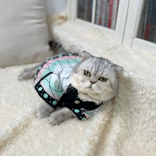 Призрак эсминец домашних животных Pet Wrom