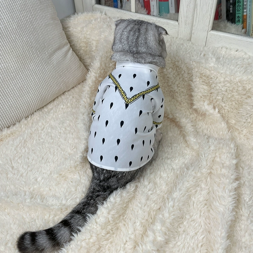 Домашняя одежда Бруно Бугала Jojo замечательное приключение Cat T -Fry щенка