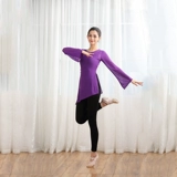 Классическая этническая одежда для гимнастики, современная спортивная одежда для тренировок, 2019, облегающий крой