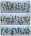 Mô phỏng hoa hồng nhỏ dải mây dây leo hoa giả hoa mái nhà ống sưởi ấm trang trí đám cưới hoa giả Hoa Liên - Hoa nhân tạo / Cây / Trái cây cây bàng singapore giả Hoa nhân tạo / Cây / Trái cây