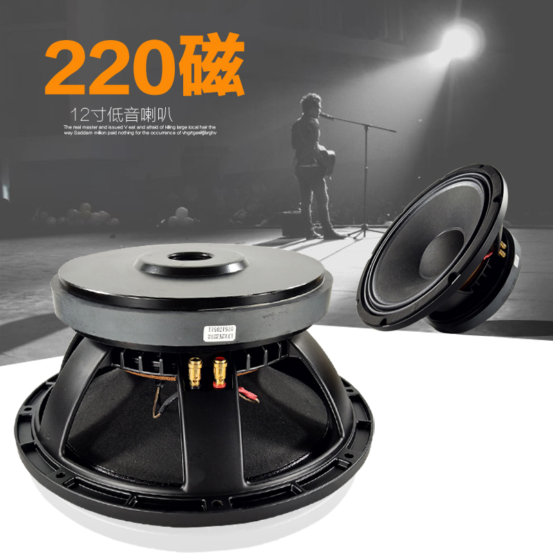 speaker stage master 12 inch