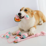 Игрушка для собак, укусовые щенки, щенки, щенки, домашние плюшевые боевые сплетни