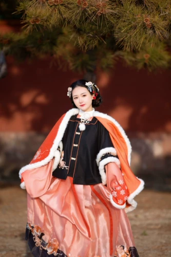 Спосоковые товары!Новый год Jortry!Zisong Oriental Aesthetic Little Tiger вышитый цветочный плащ для цветочного плаща