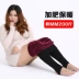 Cộng với quần legging nhung dày mốt nữ MM mùa thu đông đã mỏng bên ngoài mặc bước chân cộng với phân bón XL quần ấm 200 kg Cộng với kích thước quần áo