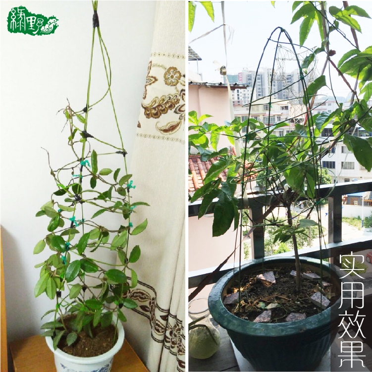 盆栽爬藤植物花卉造型diy花架材料 包塑铁丝园艺铁线莲花支架支柱 中国仕入れ Com