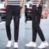 2018 mùa hè người đàn ông mới của khô nhanh quần harem mỏng thanh niên Hàn Quốc phiên bản của xu hướng lỏng kích thước lớn feet quần âu
