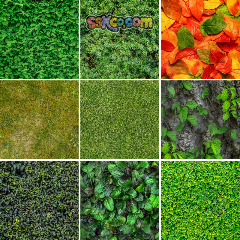 草地草坪绿色植物高清JPG摄影图片4K壁纸背景海报插图设计素材