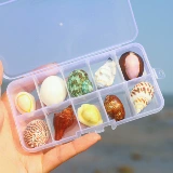 Натуральный комбинированный аквариум, декор, научно-популярный образец для раннего возраста, подарок на день рождения