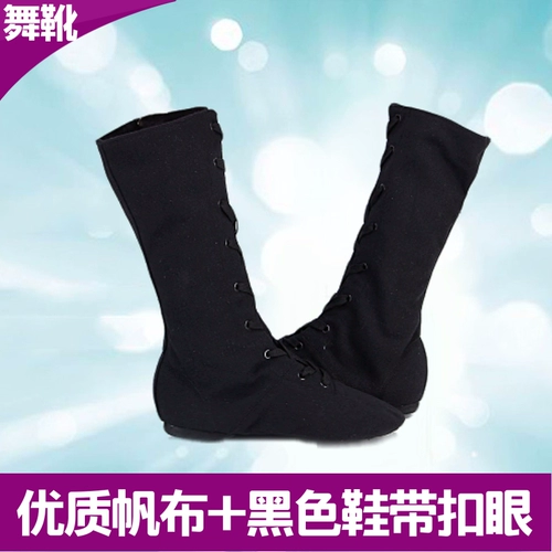 Тканевые этнические танцующие высокие сапоги с молнией, ботинки, 2019