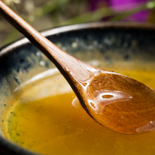 Zhao Hailing | Хай Лингшан Старый гнездо Чжэнь Старый гнез