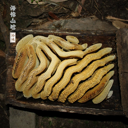 Zhao Hailing | Хай Лингшан Старый гнездо Чжэнь Старый гнез