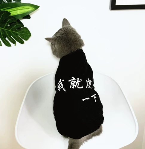 Оригинальный прилив бренд PET Thin Cat Одежда, собака -родительская патальника для домашних животных, кошачья одежда, китайские иероглифы, я просто кожа