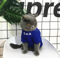 Синий (я просто кожа) лето тонко