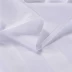 Màu tấm bông trắng massage mã hóa dày lên vẻ đẹp spa khăn trải giường cotton bedspread vận chuyển vẻ đẹp phòng khách - Khăn trải giường Khăn trải giường