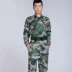 Đồng phục quân đội Trung Quốc mùa hè rừng ngụy trang đào tạo phù hợp với nam fan hâm mộ quân đội ngoài trời quần áo huấn luyện quân sự đồng phục - Những người đam mê quân sự hàng may mặc / sản phẩm quạt quân đội