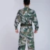 Đồng phục quân đội Trung Quốc mùa hè rừng ngụy trang đào tạo phù hợp với nam fan hâm mộ quân đội ngoài trời quần áo huấn luyện quân sự đồng phục - Những người đam mê quân sự hàng may mặc / sản phẩm quạt quân đội