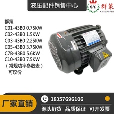 Гидравлический инструмент 台湾sy群策c01/c02/c03/c05/c7b/c10-43b0 1hp 2hp 3hp