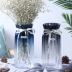 Sáng tạo châu Âu gradient thủy tinh bình thủy canh cây xanh lily lily sao bình hoa phòng khách cắm hoa - Vase / Bồn hoa & Kệ chậu hoa treo ban công Vase / Bồn hoa & Kệ