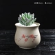 57-1 Грубая глиняная керамическая ваза слива цветение