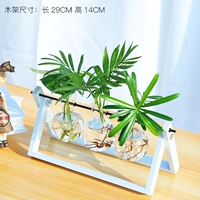 3 бутылки белого лака+песня Luo Han+Luo+Pocket Coconut