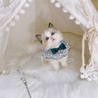 Колокольчик с бантиком, павлин