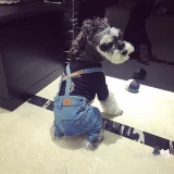 Крем, модные джинсы, комбинезон, Южная Корея