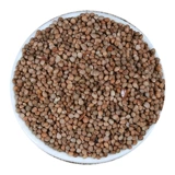 Северо -восточный фиолетовый Suzye Sonzi Seed Seed Seed Seeds Sale 500G 2 фунта бесплатной доставки
