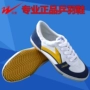 Chính hãng Sao Đôi Table Tennis Sneakers Cao Cấp Table Tennis Giày Ping Pong Đào Tạo Giày Bò Dưới Trượt Khuyến Mãi giày sport