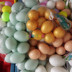 Trẻ em chơi nhà đồ chơi mẫu giáo tranh vẽ trứng mô phỏng nhựa trứng giả trứng vịt trứng chim bồ câu trứng ngỗng Đồ chơi gia đình