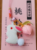 Академическое движение белого кролика поднимается