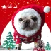 Pet Giáng sinh chó chó Giáng sinh trang phục mèo Giáng sinh trang phục mèo mèo luật mũ Teddy Giáng sinh - Quần áo & phụ kiện thú cưng