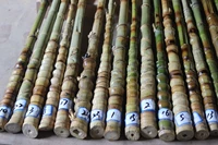 Лохан бамбуковой рыбацкий стержень, джингху -полюсные музыкальные приборные аксессуары, взбейная живот Будды, Луа Хан Бамбук и бамбук