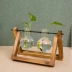 Bình thủy canh sáng tạo khung gỗ cây xanh thủy tinh phòng khách hoa nhỏ container văn phòng máy tính để bàn trang trí trang trí - Vase / Bồn hoa & Kệ chậu trồng cây cảnh Vase / Bồn hoa & Kệ