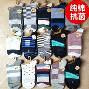 Mới ống cotton thể thao giản dị bán buôn nhà máy trực tiếp cotton thấm mồ hôi thấm nước thoáng khí kháng khuẩn Đông Bắc