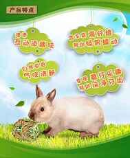 Игрушка 祖莉jolly宠物 兔子豚鼠龙猫 提摩西草小宠草编玩具jp337磨牙食物