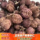 Аутентичный янчун ​​весенний главный Chunser 60 граммов янчунской весной сатомы сухой фрукты сырой данома, чтобы поднять ядра с песчаником в животе