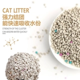 Purcell Plutoid Cat Sand Bless Particles