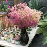 [Make -Up ссылка на ссылку] [Оптовая единственная ссылка] [Ссылка на -п -топ -цену]