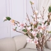 Mô phỏng hoa mộc lan phòng khách trang trí nội thất TV tủ trưng bày hoa giả hoa giả hoa nụ hoa cảnh - Hoa nhân tạo / Cây / Trái cây