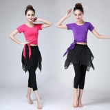 Комплект для взрослых, классическая современная спортивная одежда, облегающий крой, свободный крой