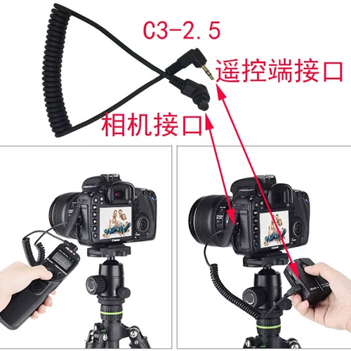 Canon, камера, D4, D3, D2, D2, C3, 3-2.5мм