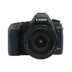 Cho thuê máy ảnh Canon DSLR cho thuê máy ảnh 5D Mark II 5D2 cho thuê máy ảnh miễn phí cho thuê máy ảnh DSLR - SLR kỹ thuật số chuyên nghiệp máy ảnh panasonic SLR kỹ thuật số chuyên nghiệp