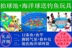 Đích thực Yingtai hồ bơi hồ bơi trẻ em bé hồ bơi inflatable vòng bóng đại dương hồ bơi chơi đồ chơi bé rùa đồ chơi thả bể bơi cho bé Bể bơi / trò chơi Paddle