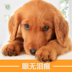 Chó ăn nhẹ hạt thịt huấn luyện chó ăn nhẹ chó con chó con chó trưởng thành Teddy Golden Retriever thưởng mol - Đồ ăn vặt cho chó thức ăn cho poodle Đồ ăn vặt cho chó