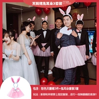 3 комплекта наборов ушей кроликов Swan Group