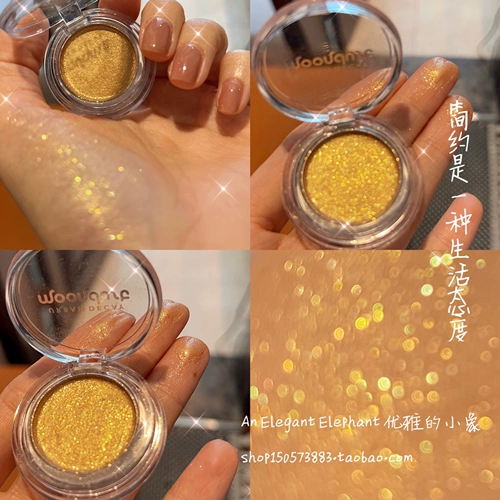 SPOT URBAN DECAY DECHAT CITY UD MONOCHROME EYD SHADY GOOT