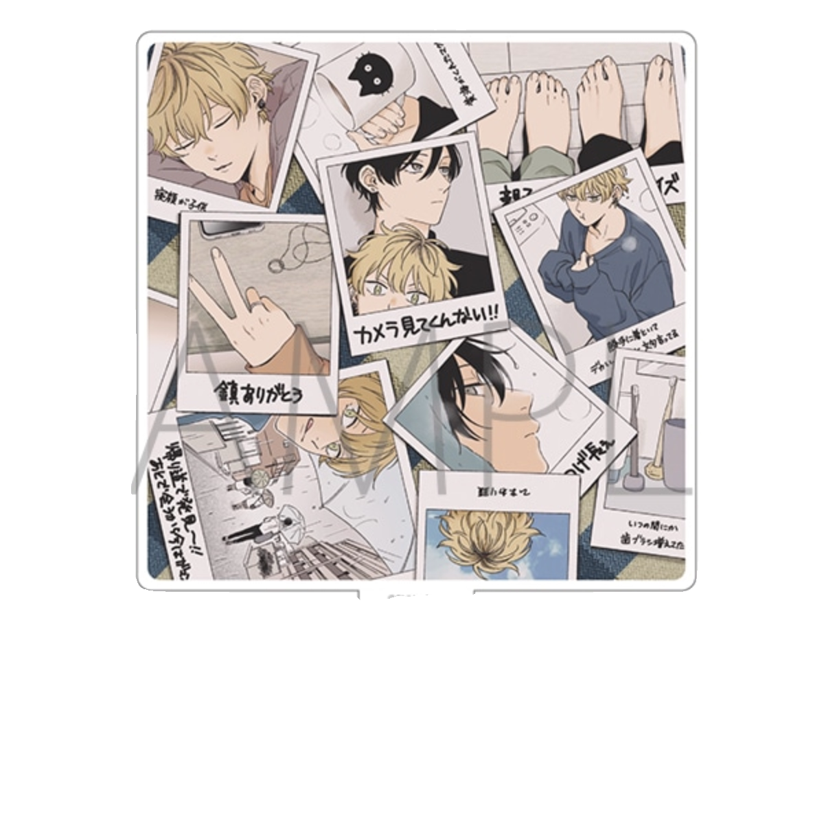 [Покупка дельфина] ス ッ ク ス ドロ ッ プ sexdrop влагоустойчивость Movic Movic Folder Folder Booking
