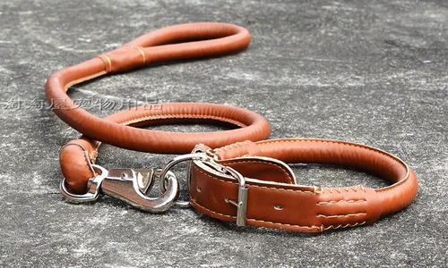 Бесплатная доставка в середине -горит собака кожа кожа кожа кожа кожа кольцо кольцо кольцо кольцо собака Золотая волоса для домашнего питомца