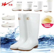Đôi sao nam và nữ ngắn cao gót trắng vệ sinh thực phẩm ủng trắng giày nước trắng axit và kiềm mưa đi giày đi mưa giày đầu bếp - Rainshoes