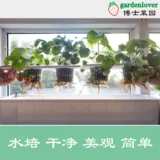 Балконы посадка овощей без земли